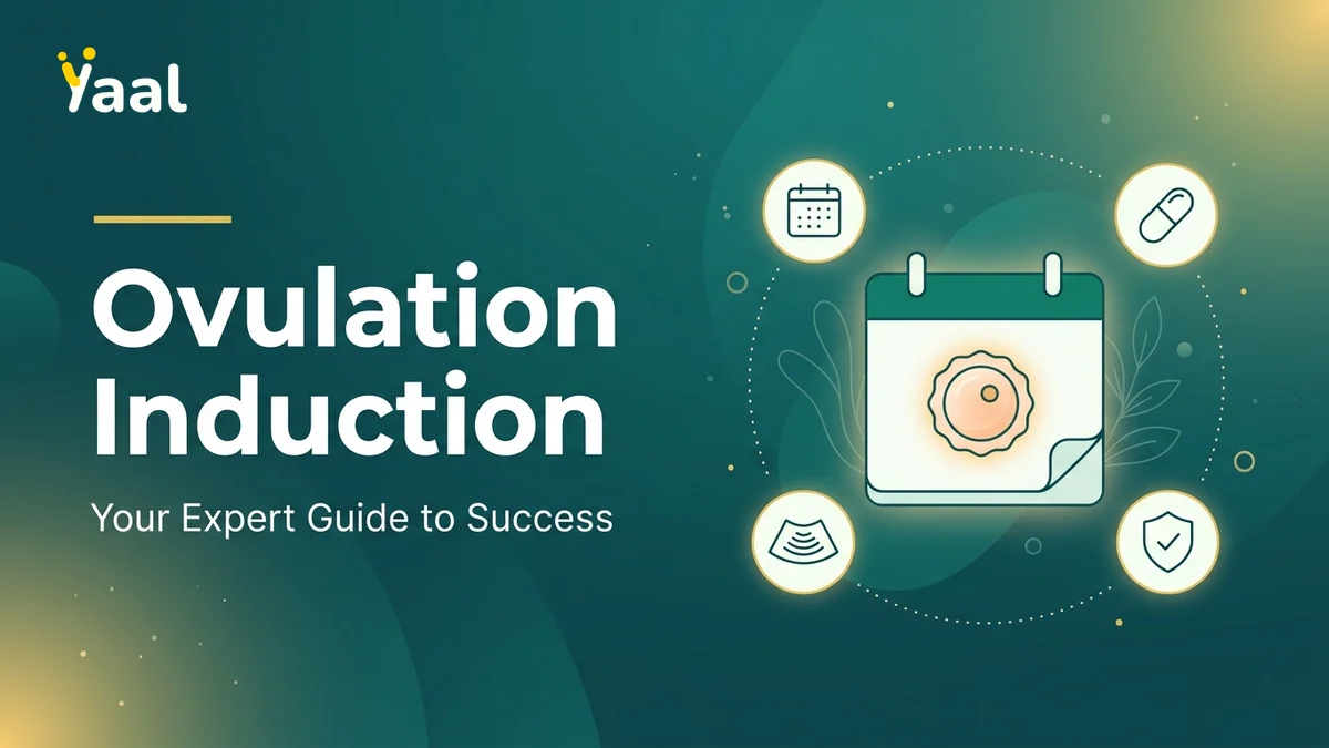 Clomiphene Citrate Ovulation Induction: Guide & Success Rates — Yaal Fertility Centre