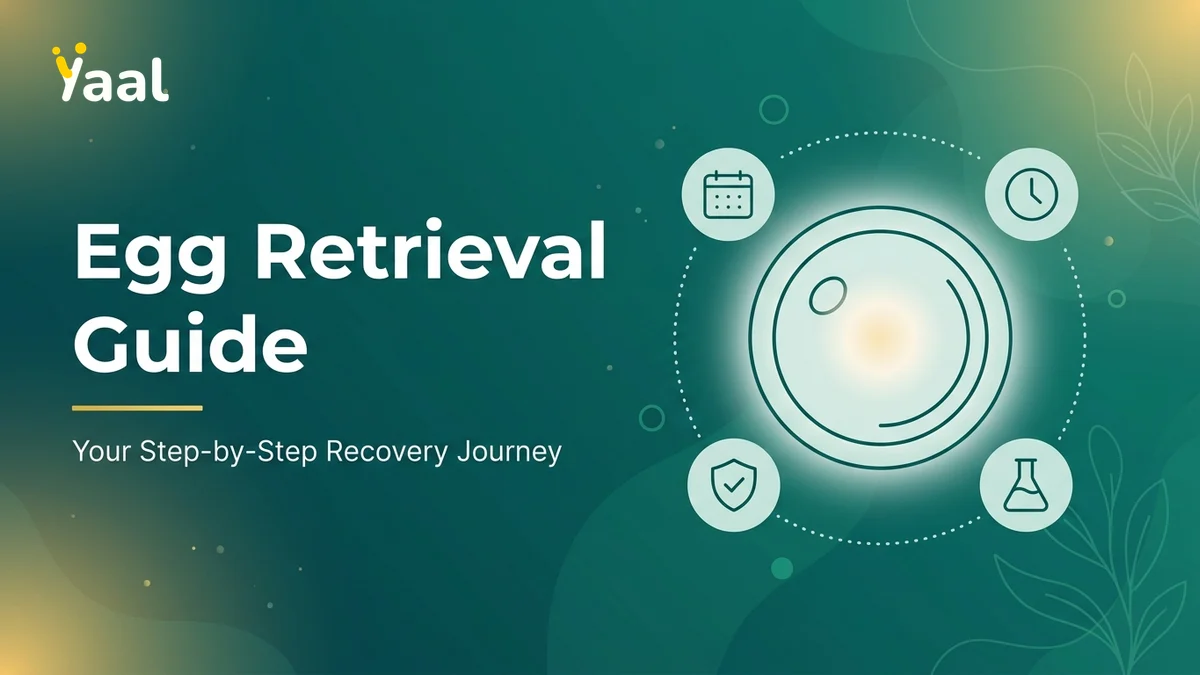 Egg Retrieval IVF Procedure: Step-by-Step Guide & Recovery — Yaal Fertility Centre