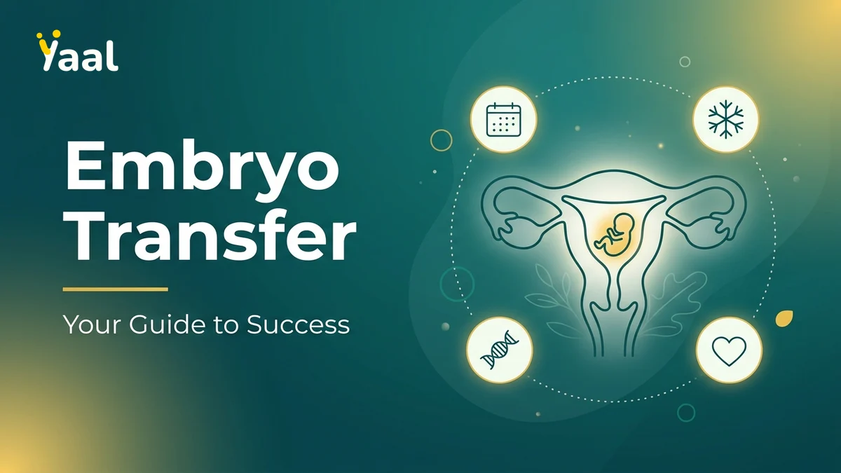 Embryo Transfer Success Rate: Key Factors & What to Expect — Yaal Fertility Centre