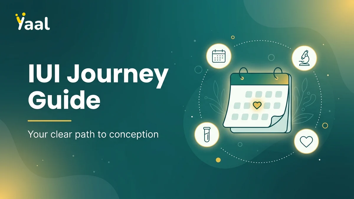 Step-by-step IUI process illustration