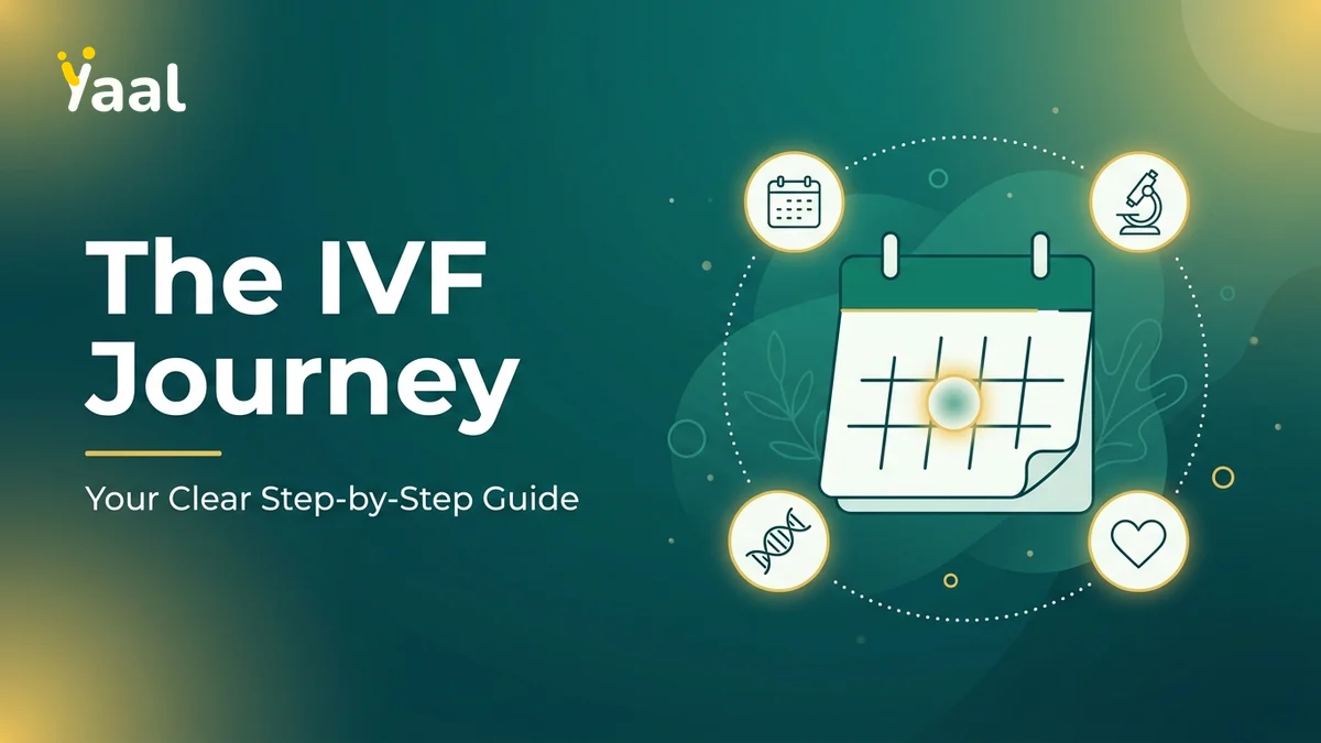 Step-by-step IVF process timeline illustration
