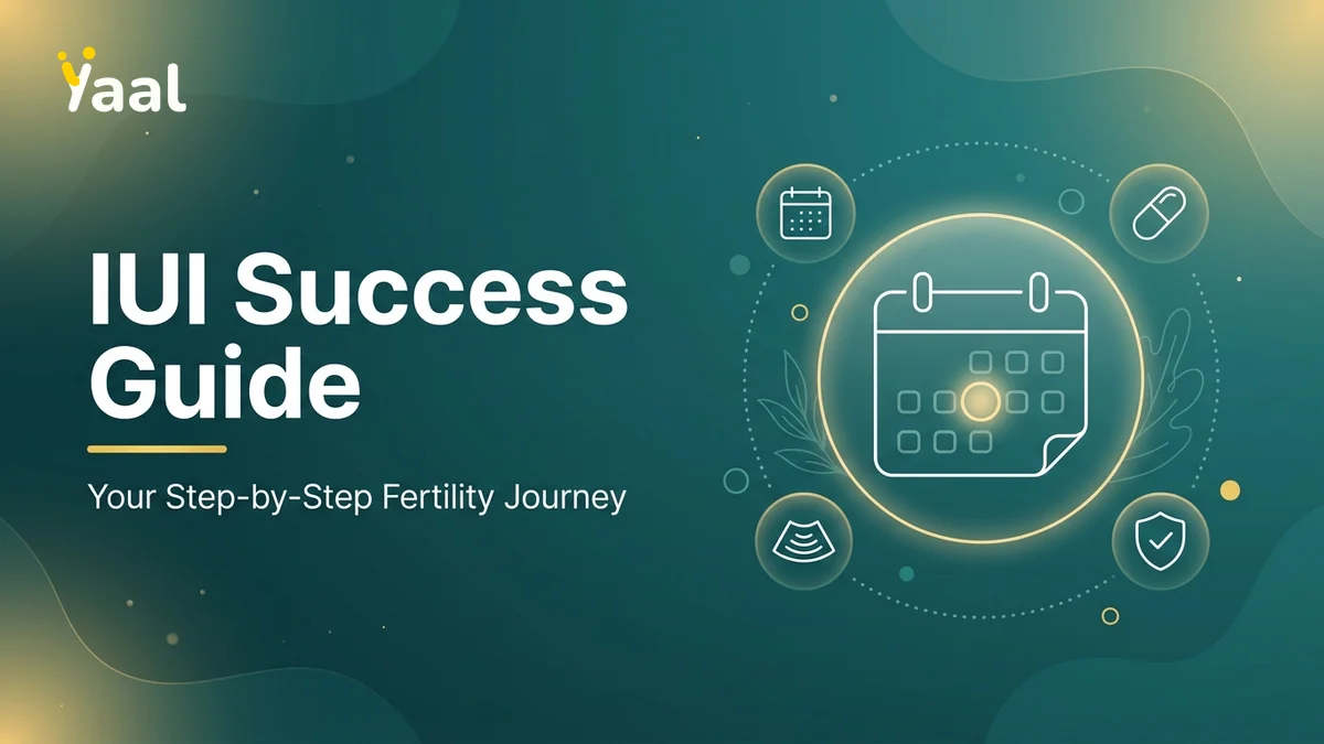 Ovulation induction and IUI process illustration