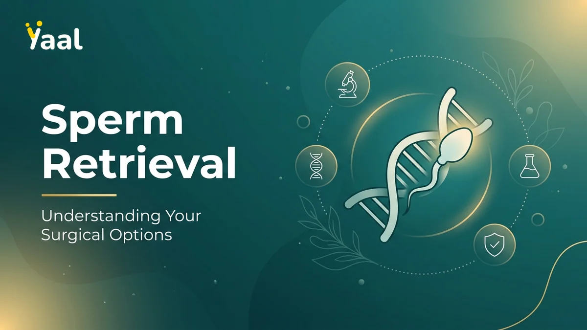 TESA and Micro-TESE sperm retrieval procedure illustration